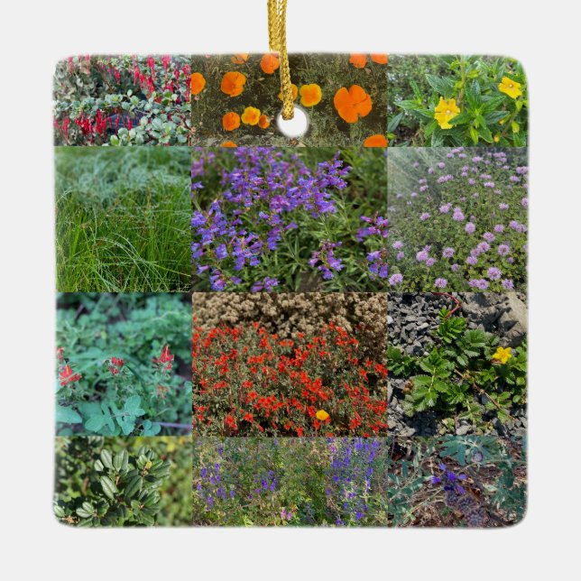 Adorno De Cerámica Colores de California 2020 (Anverso)