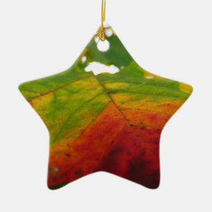 Adorno De Cerámica Colores de la hoja de arce Fotografía de la natura