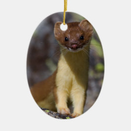 Adorno De Cerámica comadreja Largo-atada