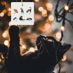 Adorno De Cerámica Comandos de Cat