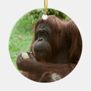 Adorno De Cerámica Comer Orangutan