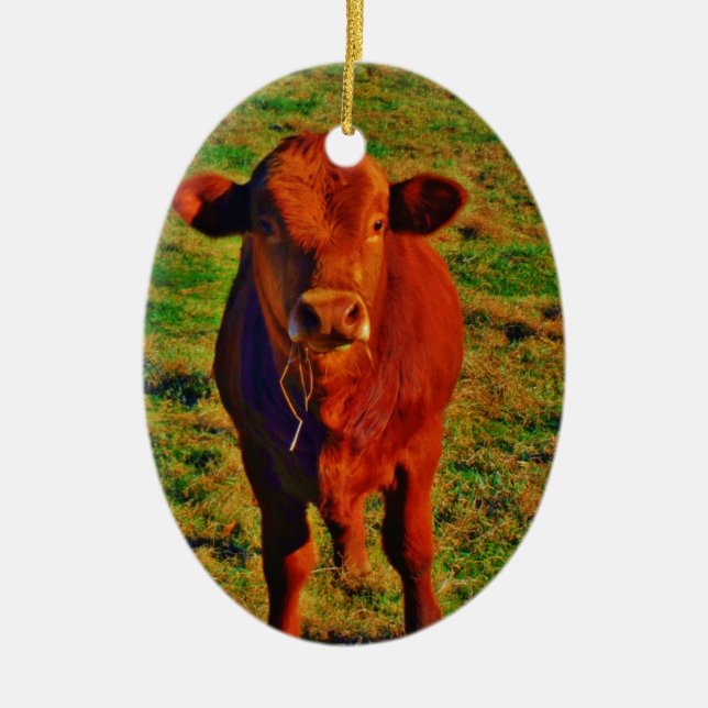 ADORNO DE CERÁMICA COMIDA DE VACAS DE BABY BROWN (Frente)