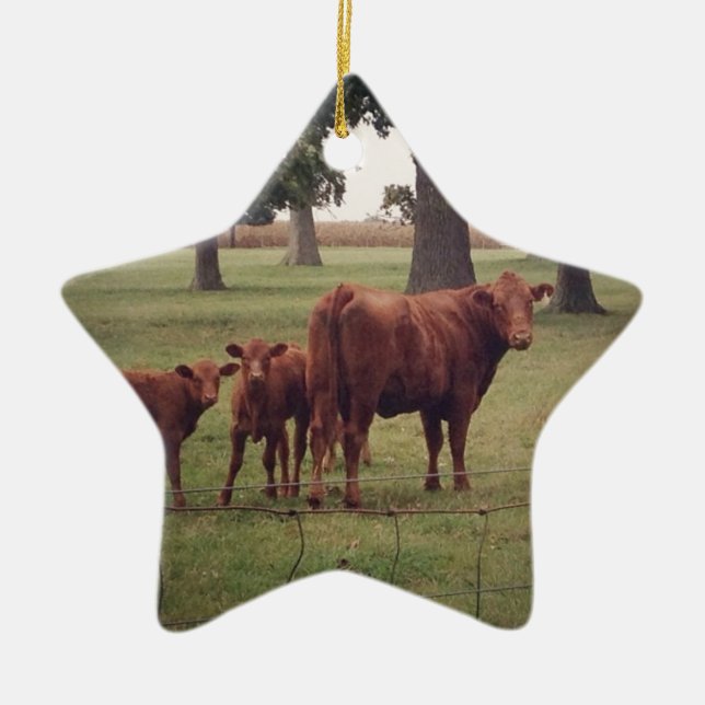 Adorno De Cerámica Cómo es ahora la vaca marrón (Frente)