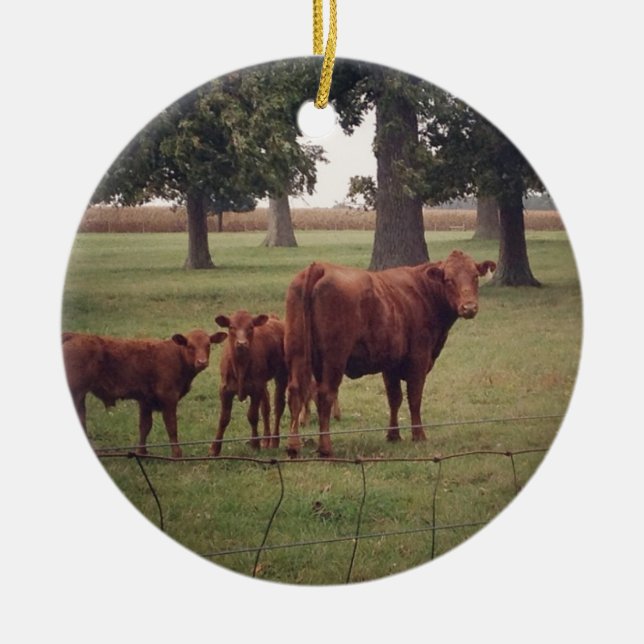 Adorno De Cerámica Cómo es ahora la vaca marrón (Frente)