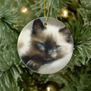 Adorno De Cerámica Compañero acogedor Siamese Kitten
