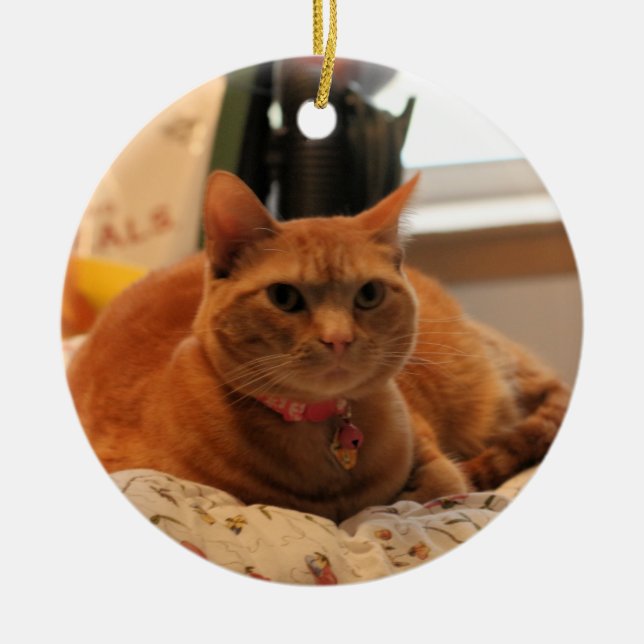 Adorno De Cerámica Complicar al gato (Frente)