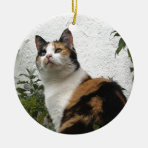 Adorno De Cerámica Concha y gato blanco