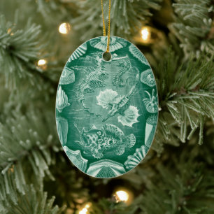 Adorno De Cerámica Conchas y peces Teleostei vintage por Ernst Haecke