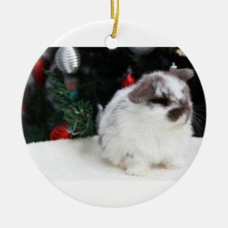 Adorno De Cerámica Conejito del navidad
