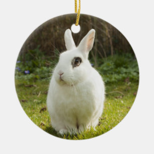 Adorno De Cerámica Conejo conejo conejo conejo conejo conejo blanco e