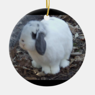 Adorno De Cerámica Conejo de conejito blanco Pascua feliz