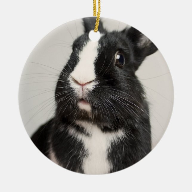 Adorno De Cerámica Conejo de conejito blanco y negro adorable (Frente)