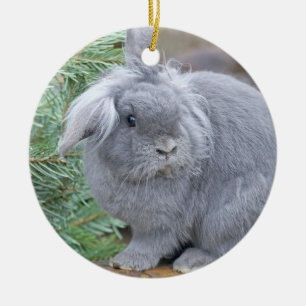 Adorno De Cerámica Conejo gris liso