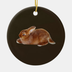 Adorno De Cerámica Conejo marrón