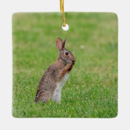 Adorno De Cerámica Conejo parado en el césped y con aspecto tímido