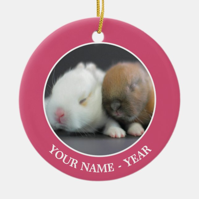 Adorno De Cerámica Conejos enanos de Netherland (Frente)