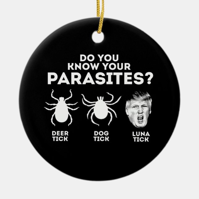 ADORNO DE CERÁMICA ¿CONOCES TUS PARASITIOS? (Frente)