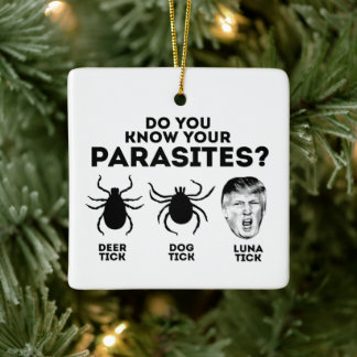ADORNO DE CERÁMICA CONOZCA SUS PARASITIOS