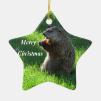 Consumición de Groundhog