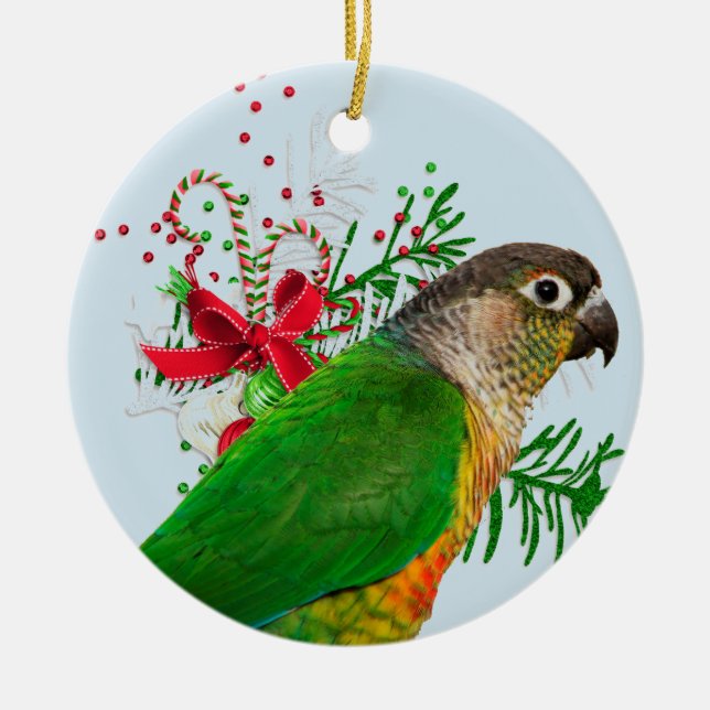 Adorno De Cerámica Conure calienta los días de fiesta (Frente)