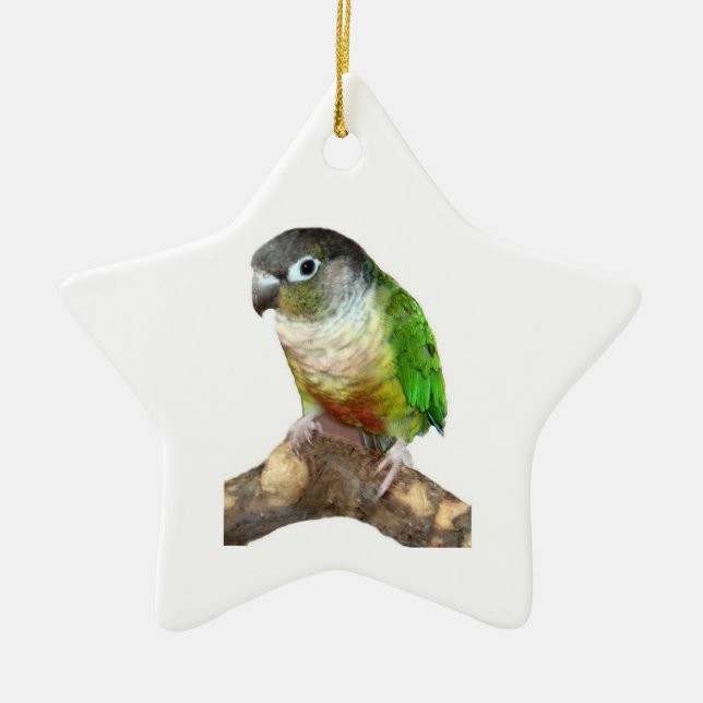 Adorno De Cerámica Conure de la mejilla verde (Frente)