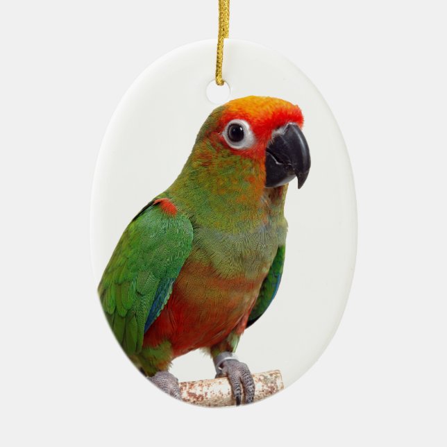Adorno De Cerámica conure De oro-capsulado (Frente)