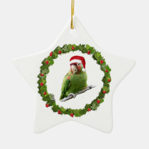 Adorno De Cerámica Conure Navidades Wreath