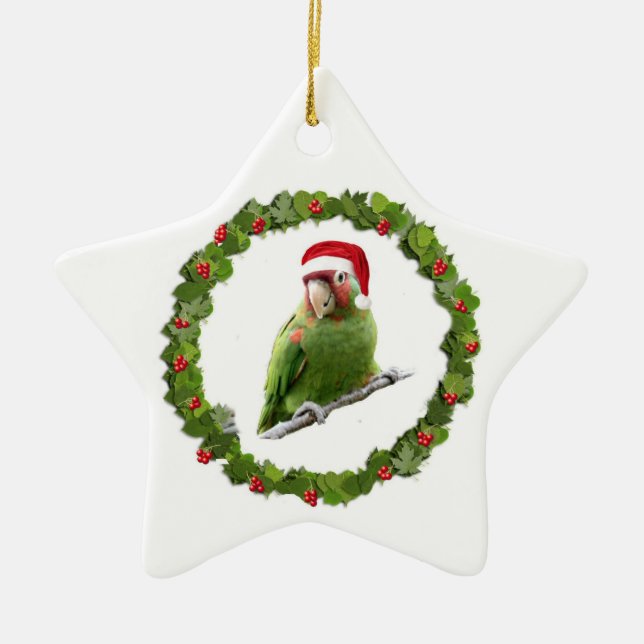 Adorno De Cerámica Conure Navidades Wreath (Frente)