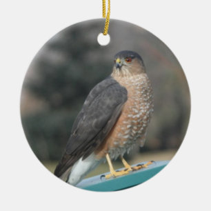 Adorno De Cerámica Coopers Hawk