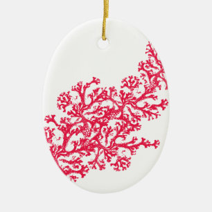 Adorno De Cerámica Coral Motif