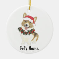 Corgi personalizado (alba y blanco)