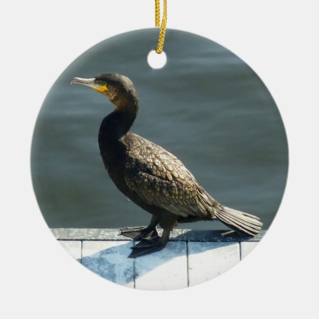 Adorno De Cerámica Cormorant (Frente)
