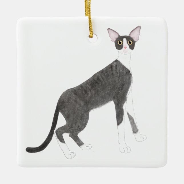 Adorno De Cerámica Cornish Rex Ornament (Anverso)