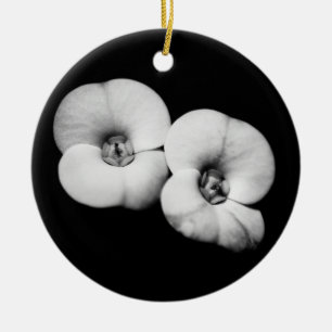 Adorno De Cerámica corona de espinas