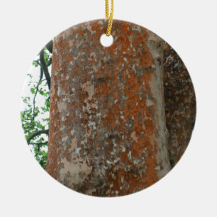 Adorno De Cerámica Corteza de árbol