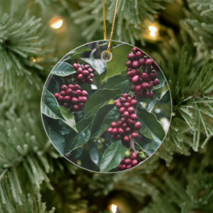 Adorno De Cerámica **"Cosecha en Flor: Granos de Café en el Árbol"**