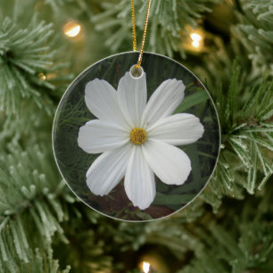 Adorno De Cerámica Cosmea