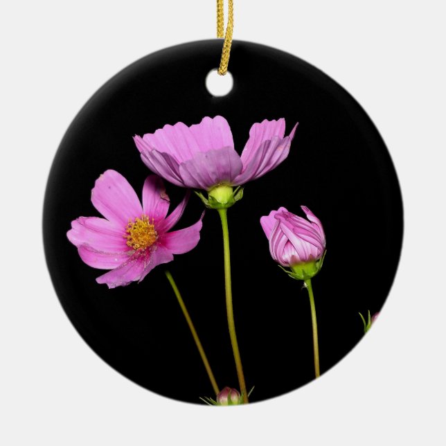 Adorno De Cerámica Cosmos at Night (Frente)