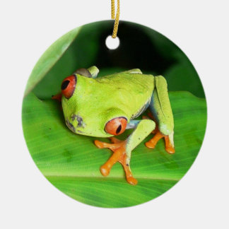 Adorno De Cerámica Costa Rica