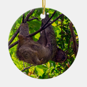 Adorno De Cerámica Costa Rica - Feliz Lazy Sloth, Antonio Manuel NP