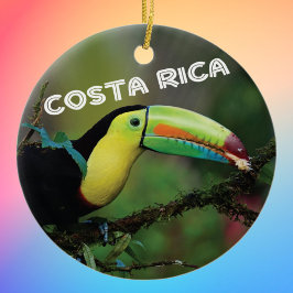 Adorno De Cerámica Costa Rica Toucan