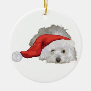 Adorno De Cerámica Coton de Tulear - Esperando