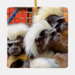 ADORNO DE CERÁMICA COTTON-TOP TAMARIN MONKEYS