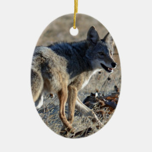 Adorno De Cerámica Coyote
