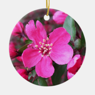 Adorno De Cerámica Crabapple de floración rosa