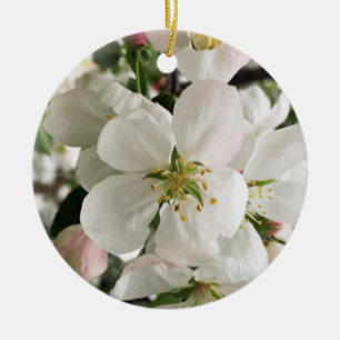Adorno De Cerámica Crabapple floreciente