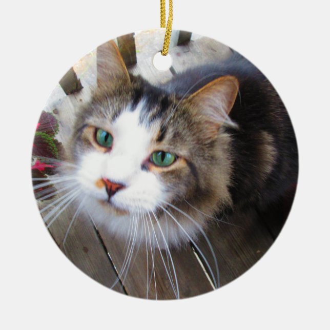 Adorno De Cerámica Crea fácilmente tu propio Personalizado Añadir 2 f (Frente)