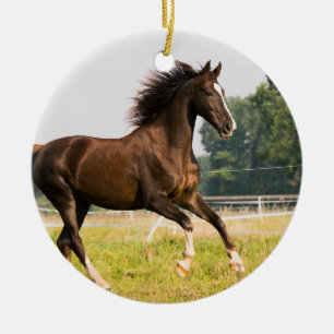 Adorno De Cerámica Crea tu propia foto de caballo de mascota personal