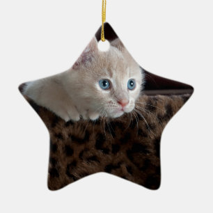 Adorno De Cerámica Cream Kitten with Beautiful Blue Eyes