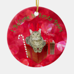 Adorno De Cerámica Creo en Santa Paws